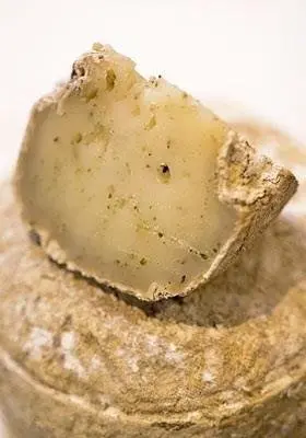 Queso. Quesos. Gastronom&iacute;a. Alimento. Alimentos. 