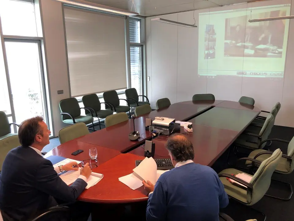 El consejero de Desarrollo Rural, Ganader&iacute;a, Pesca, Alimentaci&oacute;n y Medio Ambiente, Guillermo Blanco, ha participado por videoconferencia en el Consejo Consultivo de Pol&iacute;tica Agr&iacute;cola
