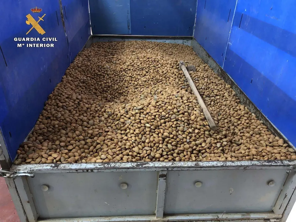 Almendras intervenidas