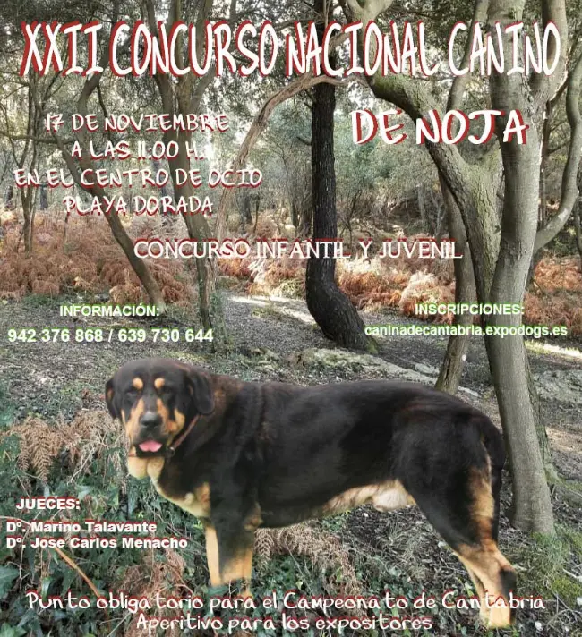 concurso canino noja