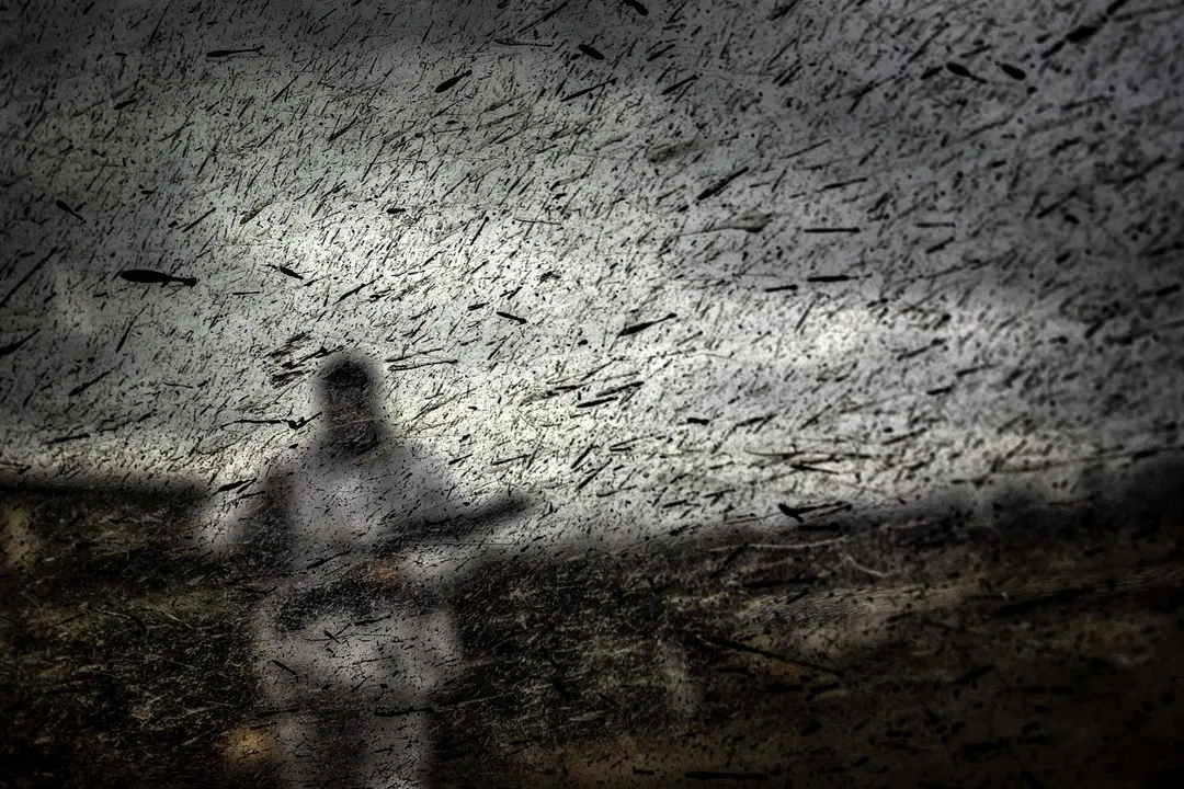 Foto de Antonio Arag&oacute;n en muestra fotoperiodistas c&aacute;ntabros