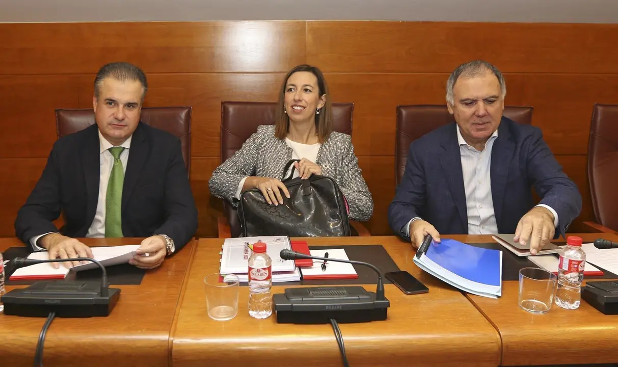 La consejera de Econom&iacute;a y Hacienda del Gobierno de Cantabria, Mar&iacute;a S&aacute;nchez; con el regionalista Francisco Ortiz (izda) y Lorenzo Vidal de la Pe&ntilde;a, del PP, a la derecha