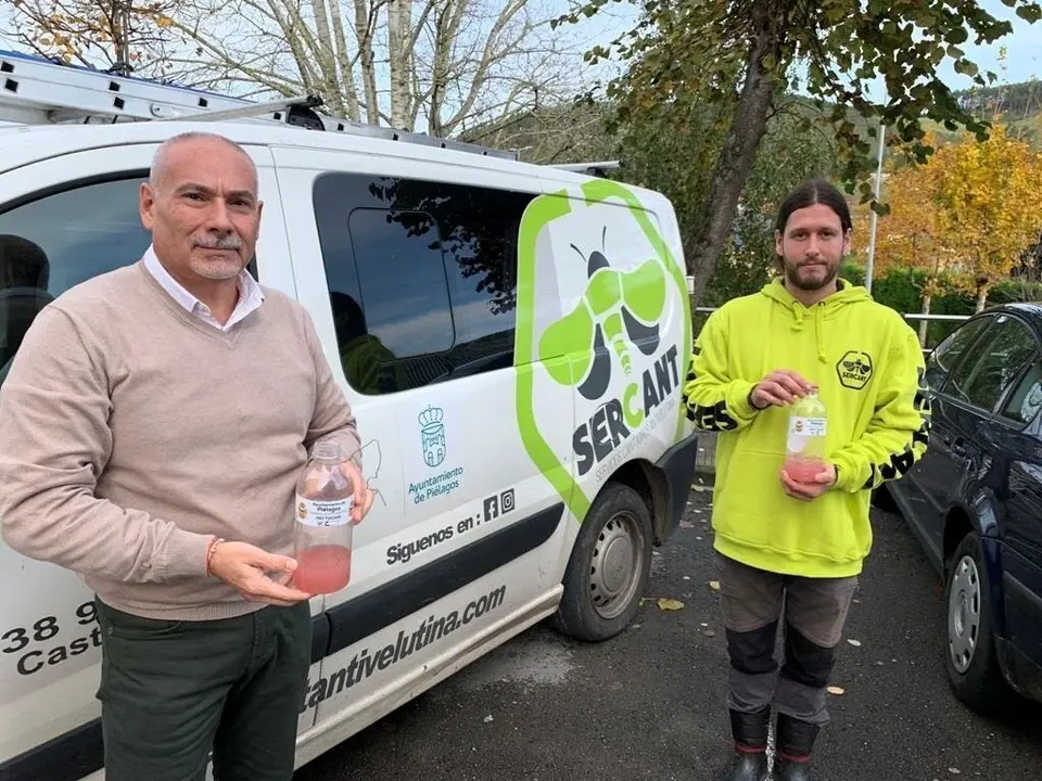 Trampeo de la avispa asi&aacute;tica en Pi&eacute;lagos