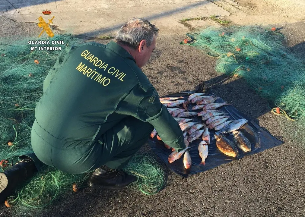 Operaci&oacute;n contra pescador furtivo en bah&iacute;a de Santander