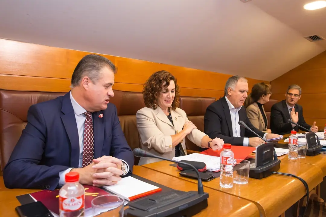 La consejera de Empleo y Pol&iacute;ticas Sociales, Ana Bel&eacute;n &Aacute;lvarez, comparece ante la Comisi&oacute;n de Econom&iacute;a y Hacienda, para informar de los presupuestos de su departamento para 2020