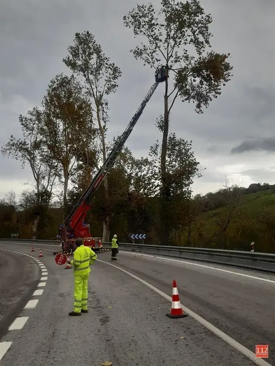 Bomberos del Servicio de Emergencias 112 retiran ramas de &aacute;rboles con riesgo de ca&iacute;da en el punto kilom&eacute;trico 258 de la carretera nacional 634