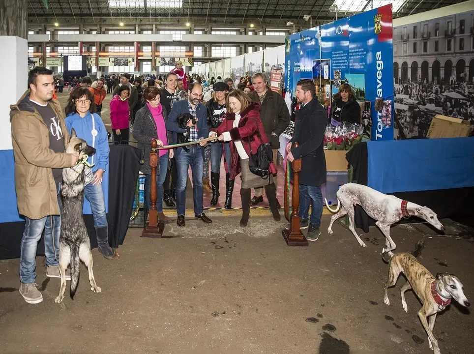 La IV Feria de Adopci&oacute;n Responsable 'Ciudad de Torrelavega'