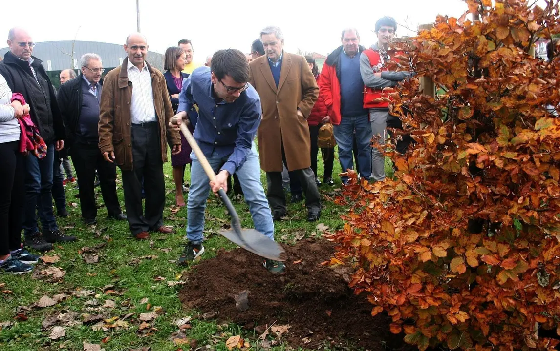 Plantaci&oacute;n de &aacute;rboles