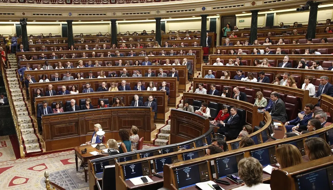Vista general del hemiciclo del Congreso de los Diputados durante la segunda y definitiva votaci&oacute;n para su investidura del candidato socialista a la Presidencia del Gobierno.
