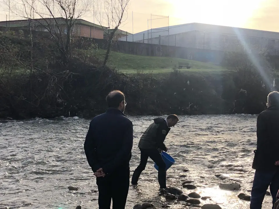 Suelta de salmones en el r&iacute;o Besaya