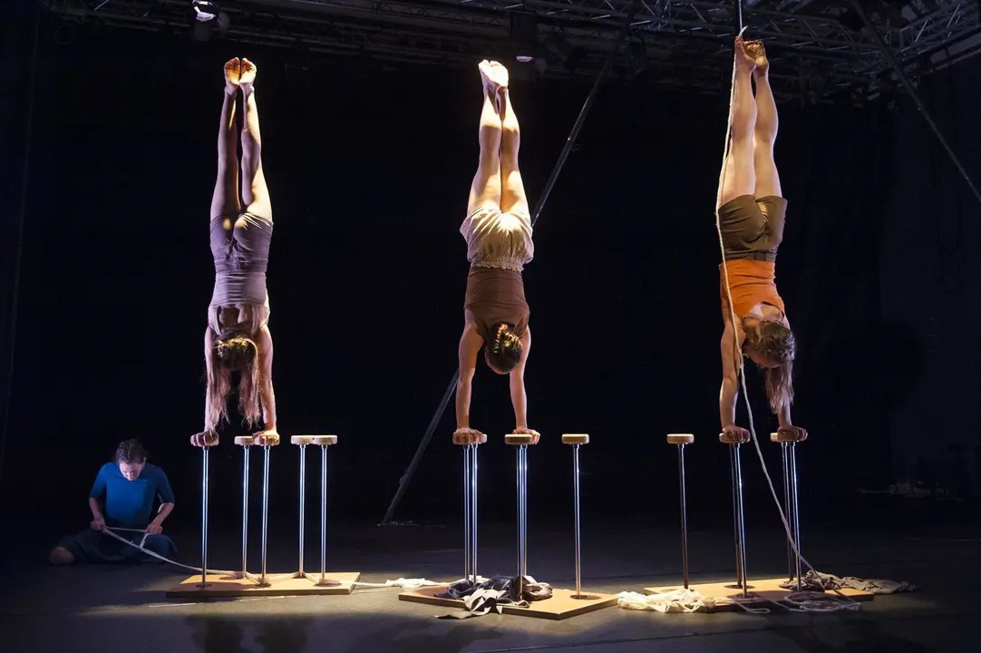 'La Naturaleza Del Silencio' De Babirusa Danza