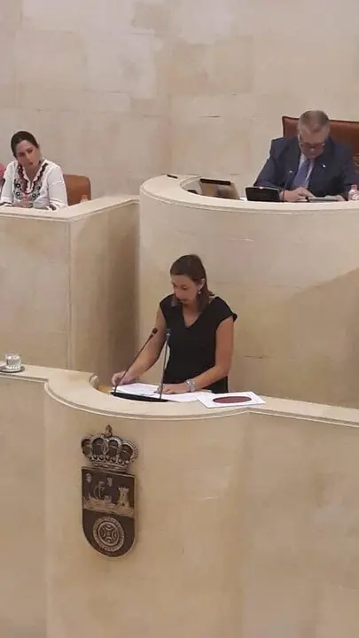 La consejera de Econom&iacute;a de Cantabria, Mar&iacute;a S&aacute;nchez, interviene en el Pleno del Parlamento