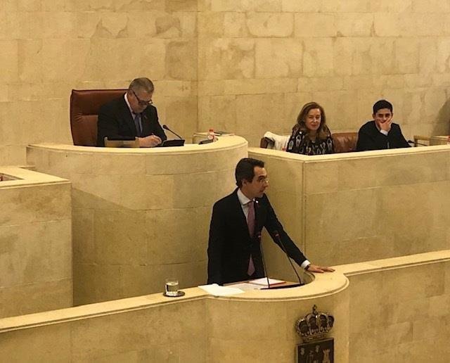 El diputado del grupo mixto-Vox en el Parlamento de Cantabria Armando Blanco
