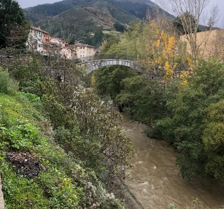 Captura de pantalla 2019-12-02 a las 18.31.05