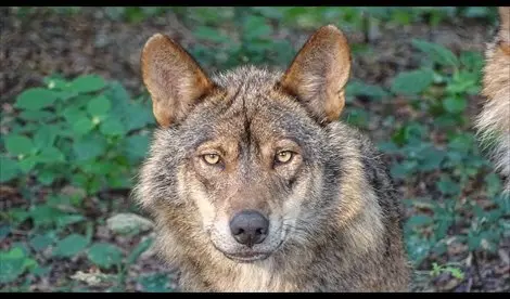 fotonoticia_20191015185533_470x276_0_0_0_0_bg000