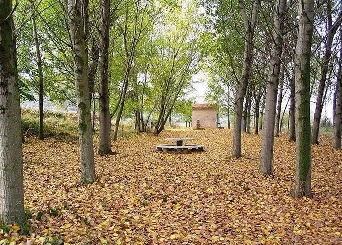 Chopo. Chopera. Oto&ntilde;o.