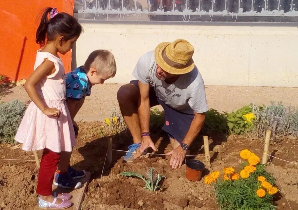 Huerto ecol&oacute;gico en el colegio de Benimaclet, en Valencia.