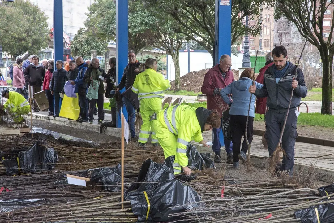Entrega de &aacute;rboles a vecinos en Camargo