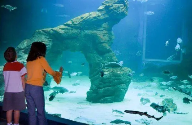 79940787_10158032586475663_6577813916439543808_n