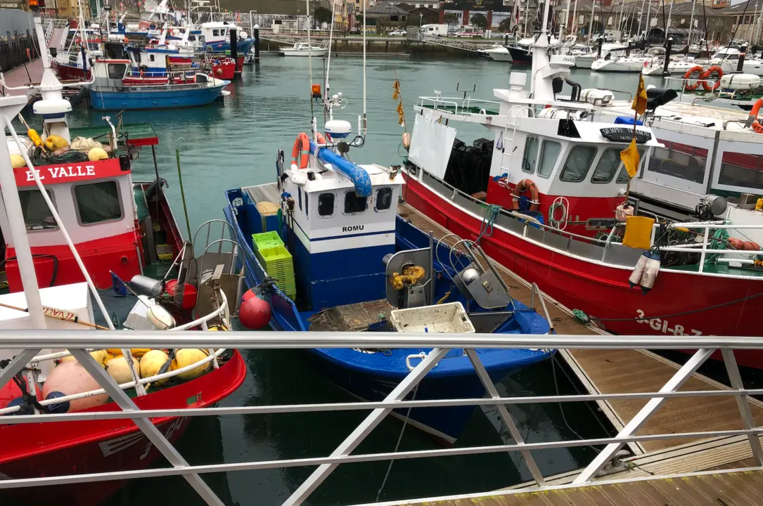 Captura de pantalla 2019-12-17 a las 10.59.27