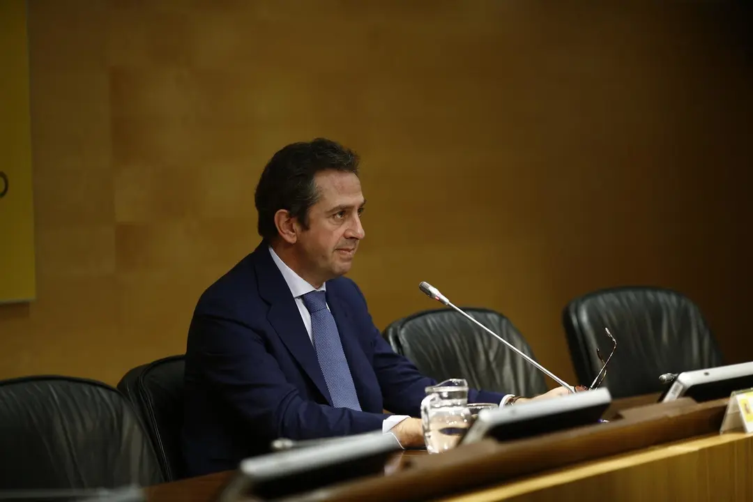 El presidente del IEE &Iacute;&ntilde;igo Fern&aacute;ndez de Mesa