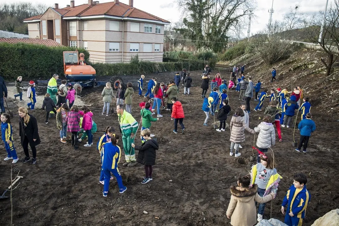 Plantaci&oacute;n de &aacute;rboles en Barreda