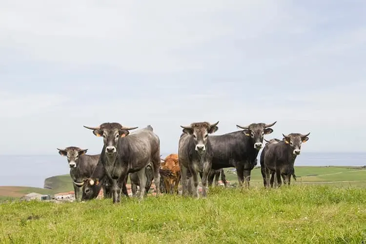 80657029_1011653699193624_470827577846530048_n