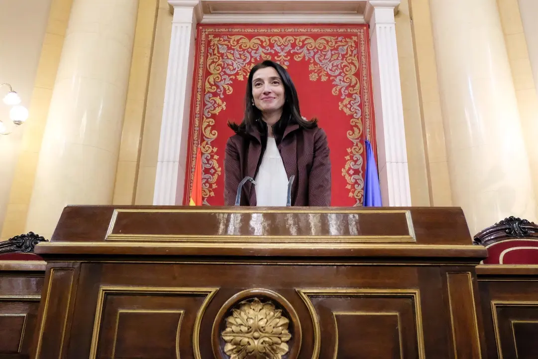 La socialista Pilar LLop sonr&iacute;e tras ser nombrada nueva presidenta del Senado durante la sesi&oacute;n constitutiva de la XIV Legislatura en el Senado, en Madrid (Espa&ntilde;a), a 3 de diciembre de 2019.