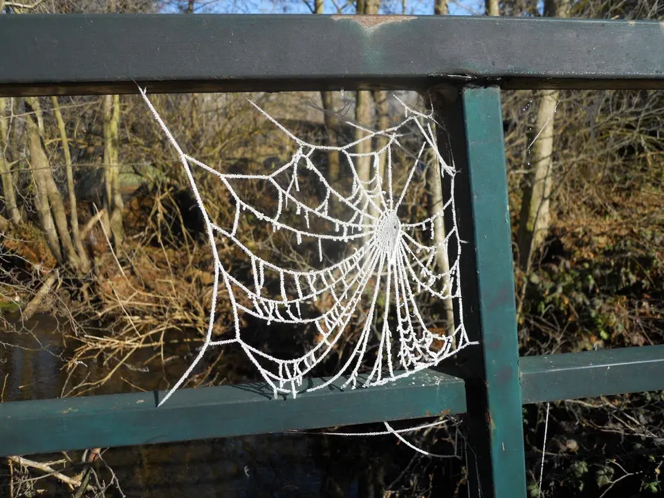 Fr&iacute;o, telara&ntilde;a congelada en Valderredible