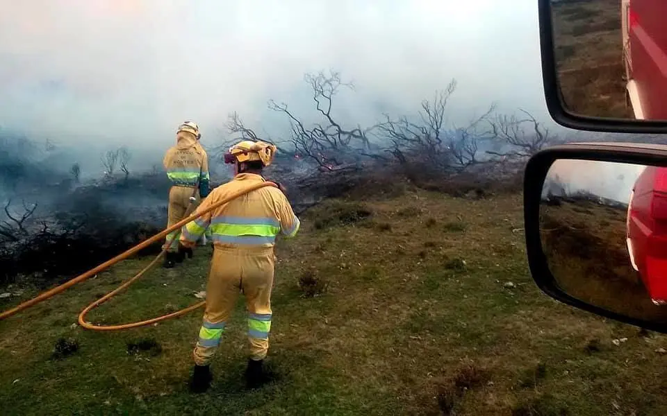 81303152_10158090024405663_7766054569208971264_n