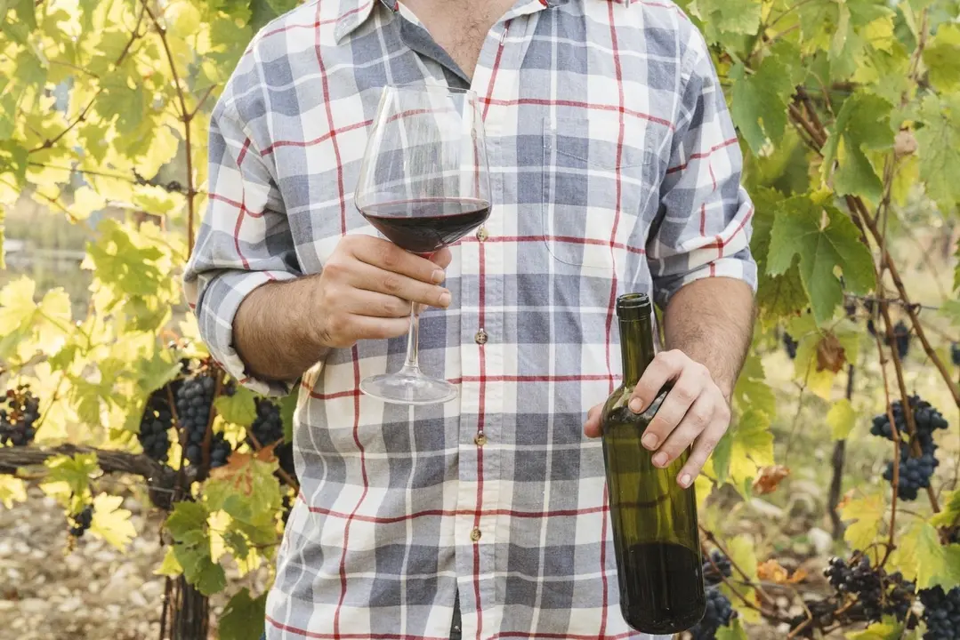 DO Vinos de Gran Canaria