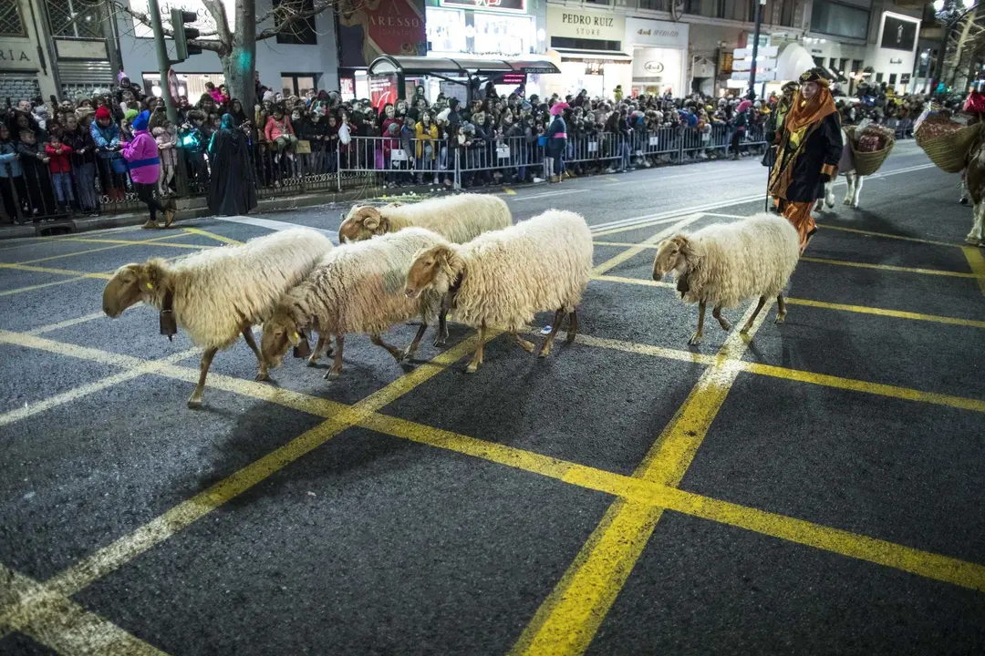 DAVID S. BUSTAMANTE 05/01/2020 SANTANDER/ CANTABRIA Cabalgata de Reyes de Santander