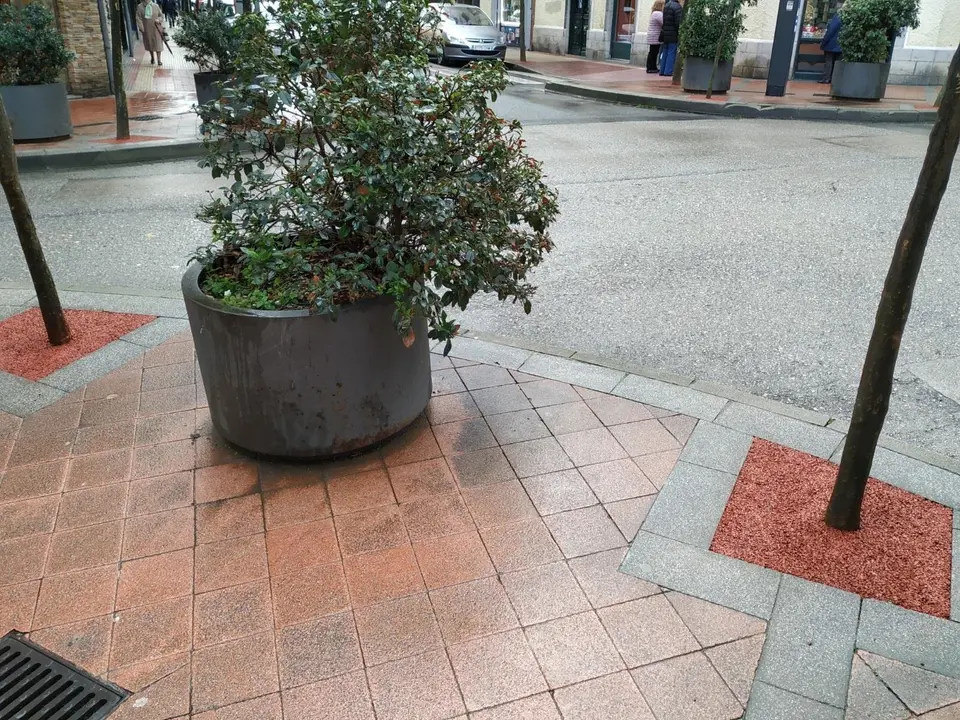 Alcorques con pavimento drenante