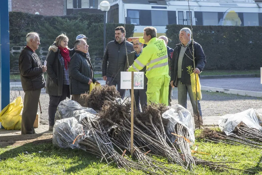 Entrega de &aacute;rboles, campa&ntilde;a de repoblaci&oacute;n forestal