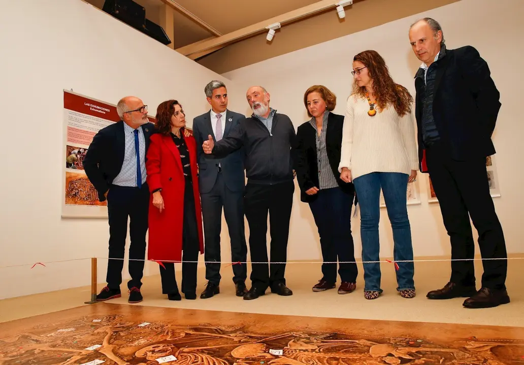 Vicepresidente Exposici&oacute;n Colombia