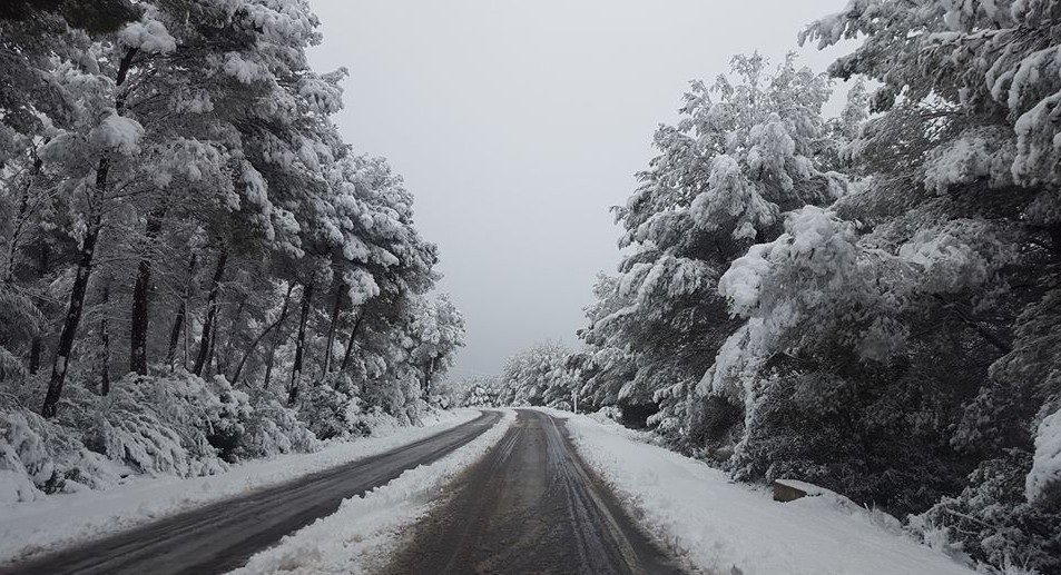 Imagen de una carretera nevada en Jávea (Alicante) 