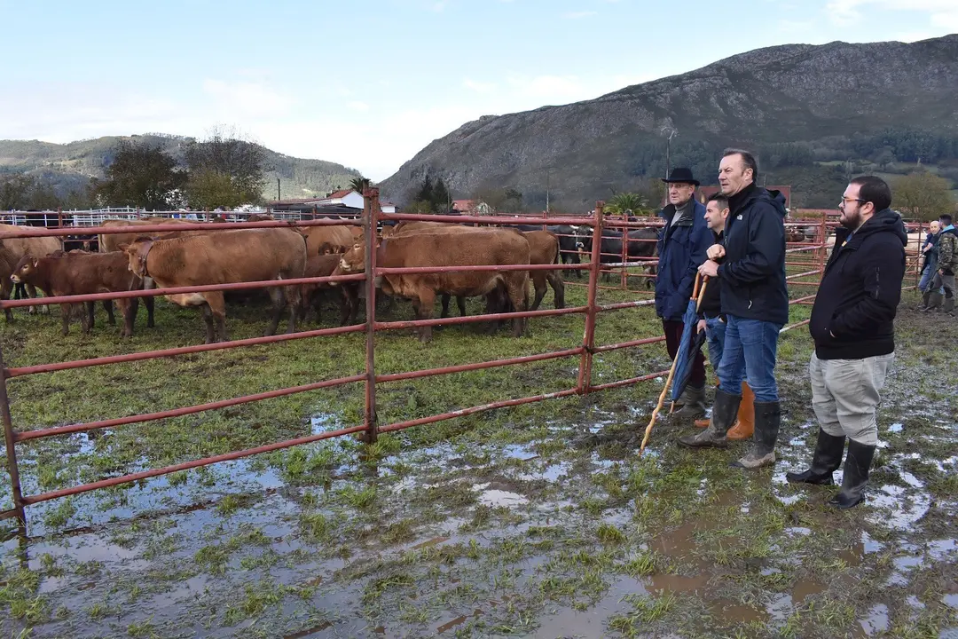 El consejero de Desarrollo Rural, Ganader&iacute;a, Pesca, Alimentaci&oacute;n y Medio Ambiente, Guillermo Blanco, durante su visita a la feria ganadera anual de San Felices de Buelna