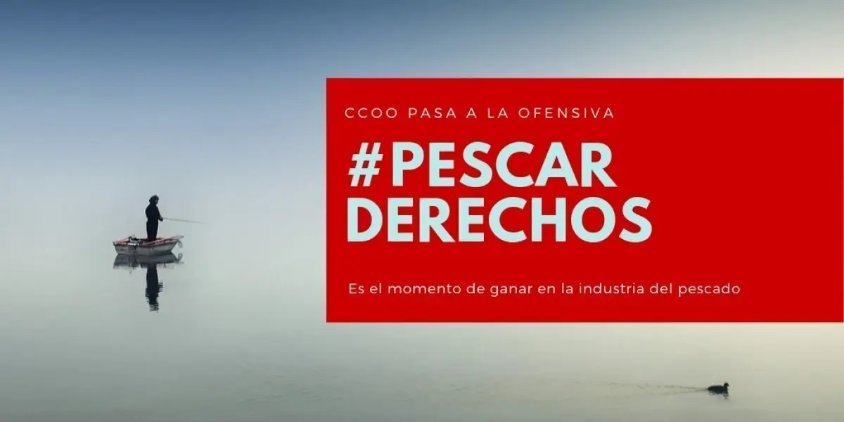 Campa&ntilde;a de CCOO sobre la anchoa