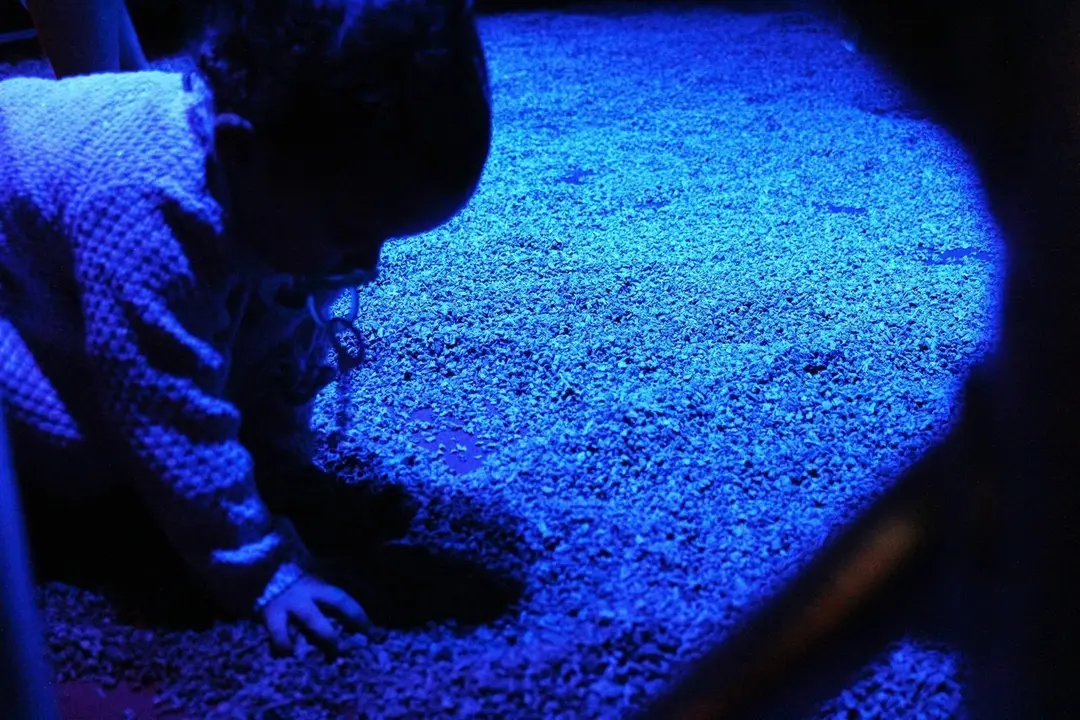 Jard&iacute;n secreto