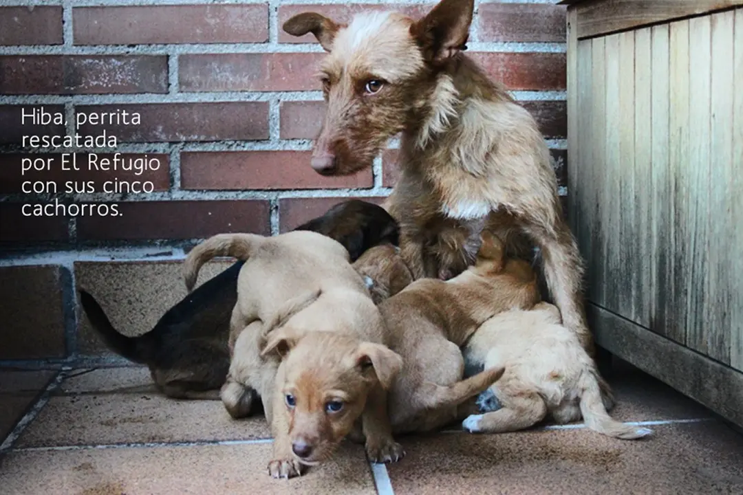 sacrificio cero archivo