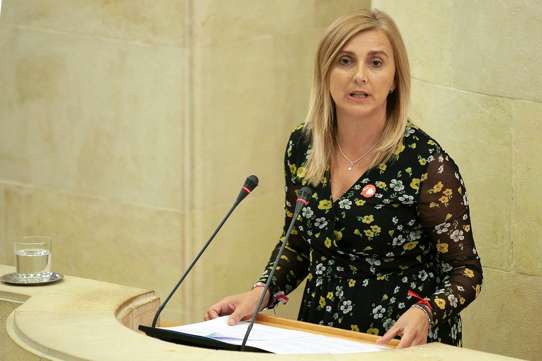La secretaria de Organización del PSOE de Cantabria y portavoz del grupo socialista en el Parlamento regional, Noelia Cobo