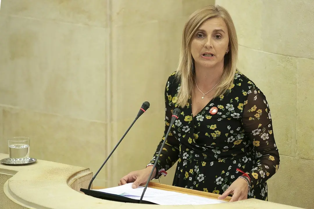 La secretaria de Organizaci&oacute;n del PSOE de Cantabria y portavoz del grupo socialista en el Parlamento regional, Noelia Cobo