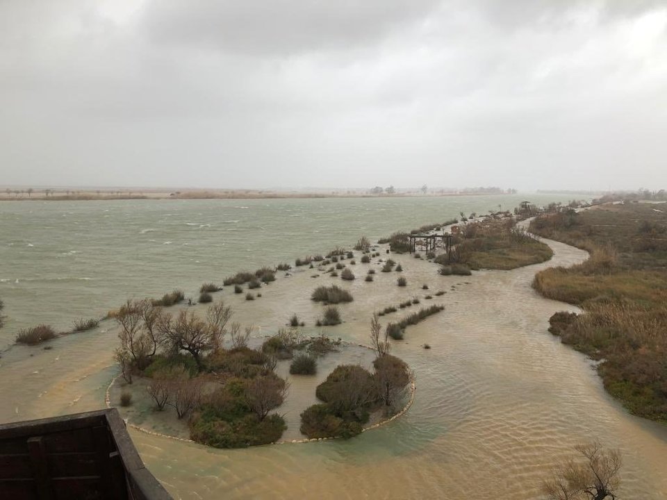 Inundaciones en la zona del delta del Ebro por la borrasca 'Gloria'.