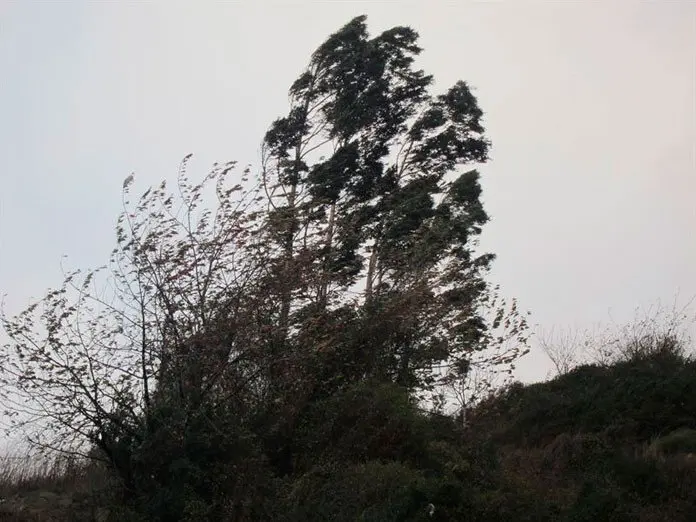 racha de viento archivo