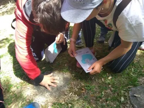 M&aacute;s de 7.000 escolares participaron en 2019 en los programas de la Fundaci&oacute;n Oso Pardo