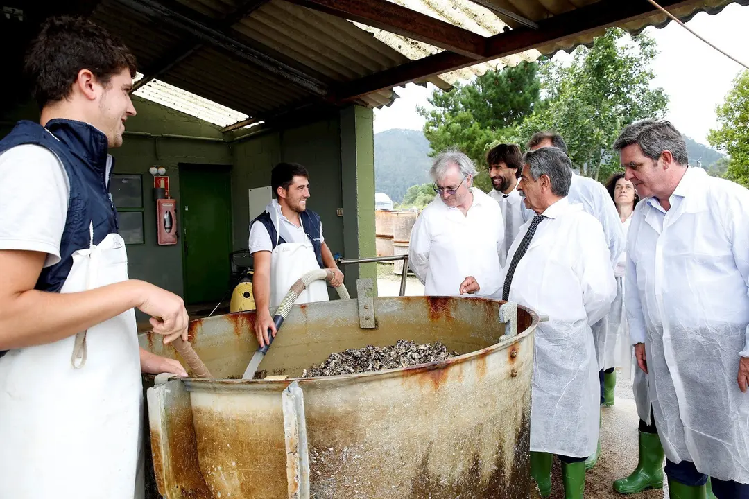 Planta de acuicultura en Tinamenor