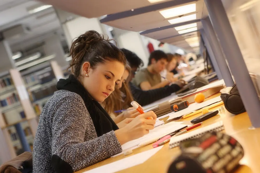 Estudiantes de la Universidad P&uacute;blica de Navarra, en una biblioteca del centro.