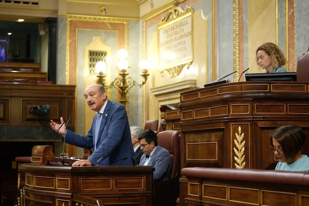 El diputado nacional del PRC, Jos&eacute; Mar&iacute;a Maz&oacute;n, en la tribuna del Congreso