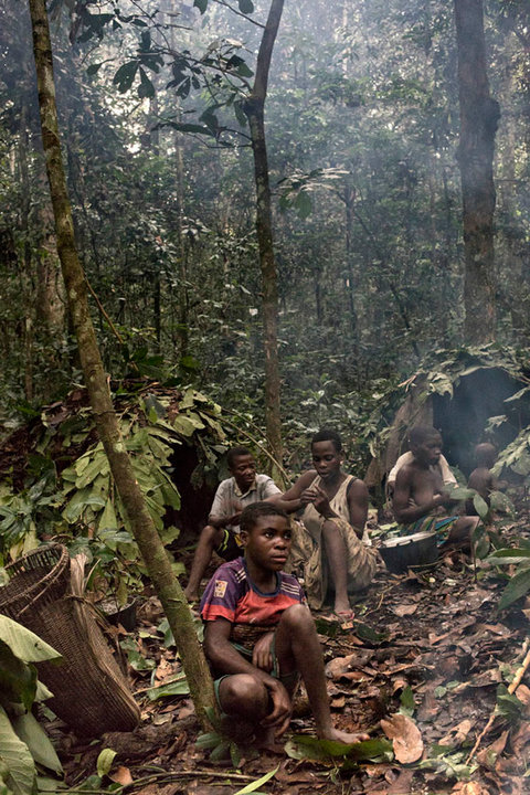 DZANGA SANGHA,CAR - JULY 2018: A Baaka family group during one of their hunting days rests in their camp in the jungle. The Baakas are pygmies. They are considered second-class citizens in RCA. They suffer constant violations of their fundamental rights and in many cases they work in a semi-slavery regime for other ethnic groups living in the country.