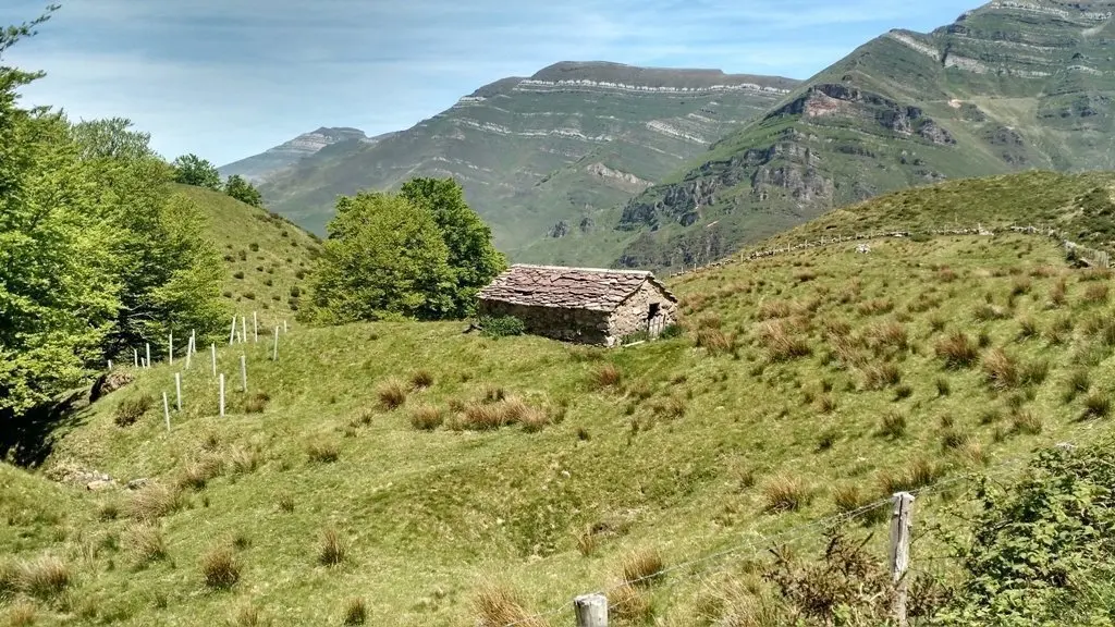 Caba&ntilde;a pasiega